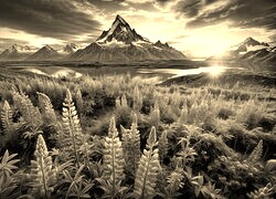Sepia