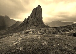 Szary + Sepia