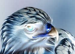 Negatyw