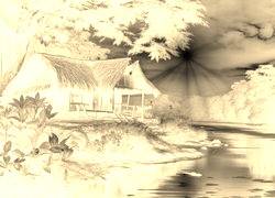 Sepia + Negatyw