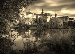 Szary + Sepia