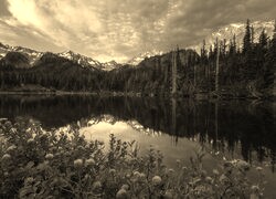 Szary + Sepia
