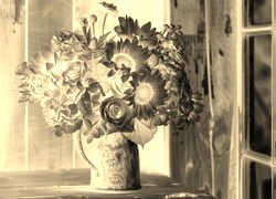 Sepia + Negatyw