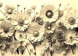 Szary + Sepia