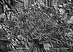 Skamielina