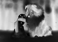 Szary + Negatyw