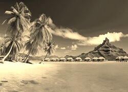 Szary + Sepia