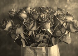 Szary + Sepia