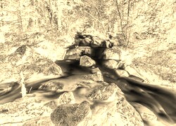 Sepia + Negatyw