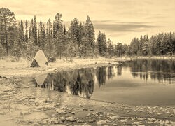 Szary + Sepia
