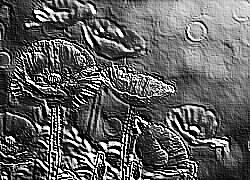 Skamielina