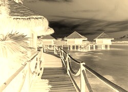 Sepia + Negatyw