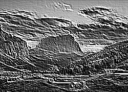 Skamielina