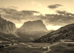 Szary + Sepia