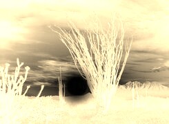 Sepia + Negatyw