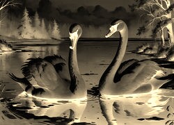 Sepia + Negatyw