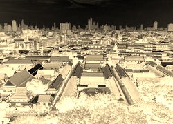 Sepia + Negatyw