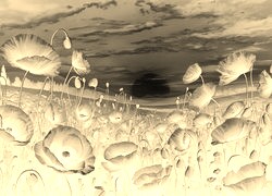 Sepia + Negatyw