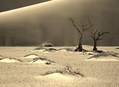 Szary + Sepia