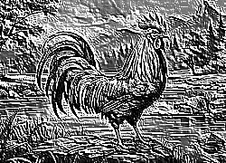 Skamielina