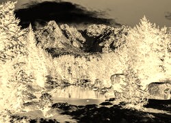 Sepia + Negatyw