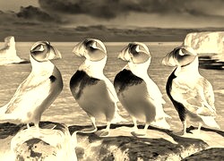 Sepia + Negatyw