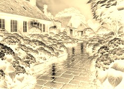Sepia + Negatyw