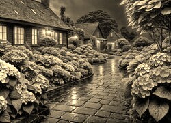 Sepia