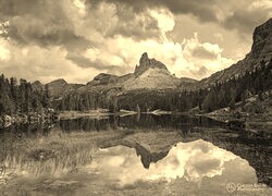 Szary + Sepia