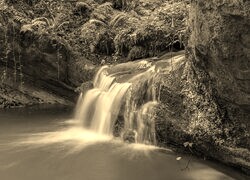 Szary + Sepia