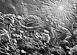 Skamielina