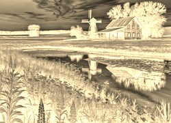 Sepia + Negatyw