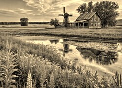 Szary + Sepia