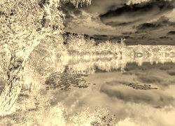 Sepia + Negatyw