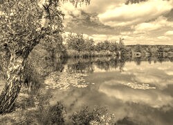 Szary + Sepia