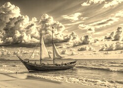 Szary + Sepia