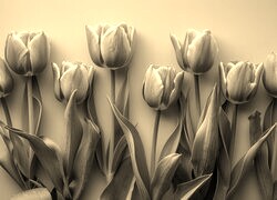 Szary + Sepia