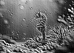 Skamielina