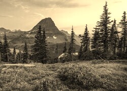 Szary + Sepia