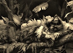 Szary + Sepia