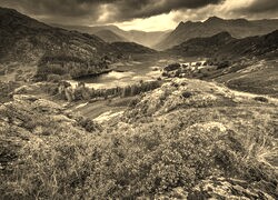 Sepia