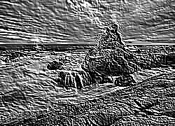 Skamielina