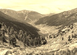 Szary + Sepia