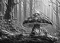 Skamielina