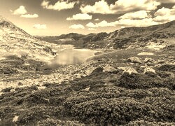 Sepia