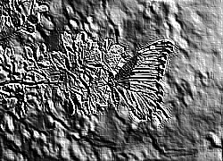 Skamielina