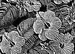 Skamielina