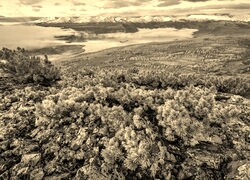 Szary + Sepia