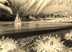 Sepia + Negatyw