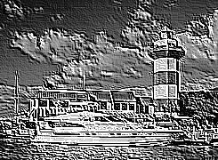Skamielina